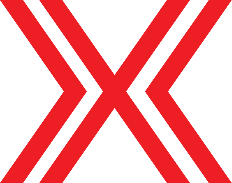 Isotipo en forma de X de Terminamax fumigaciones y control de plagas